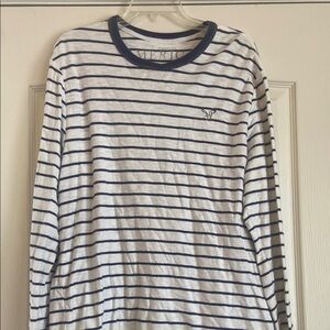 American Eagle Outfitters Blue and White Long Sleeve Tee